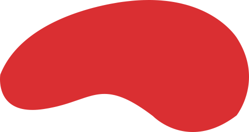 BIN宝盈集团案例