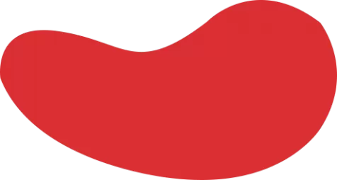 BBIN·宝盈集团(中国)有限公司官网·官方唯一APP